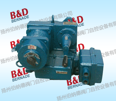 DKJ rotary standards for explosion proof electric actuator